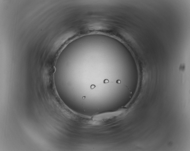 X0000114221305200910091338