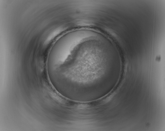 X0000114221306200910091338