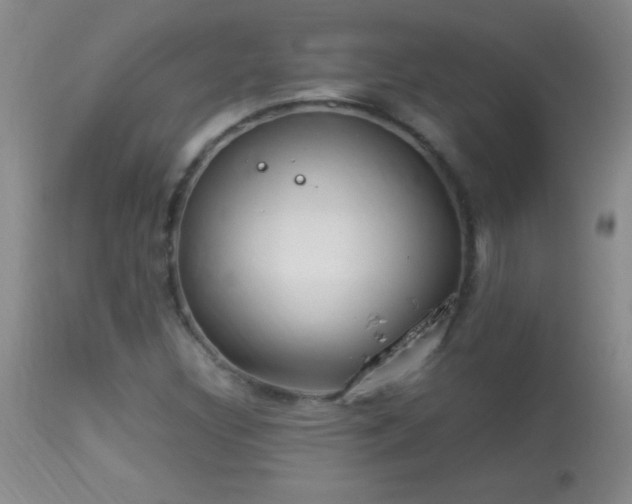 X0000114221308200910091338