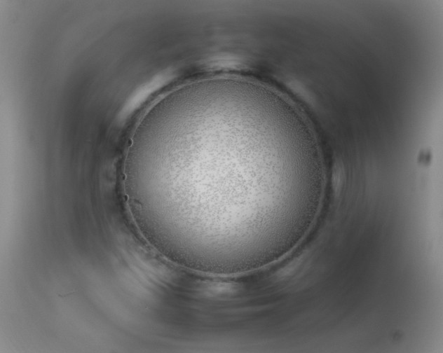 X0000114221309200910091338