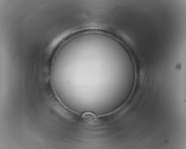 X0000114221310200910091338