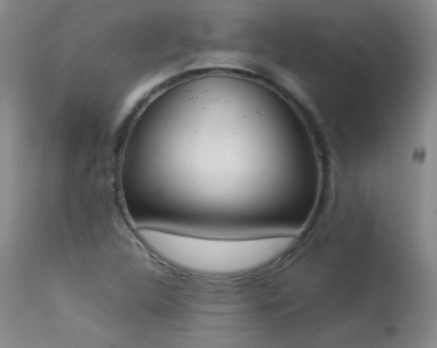 X0000114221312200910091338
