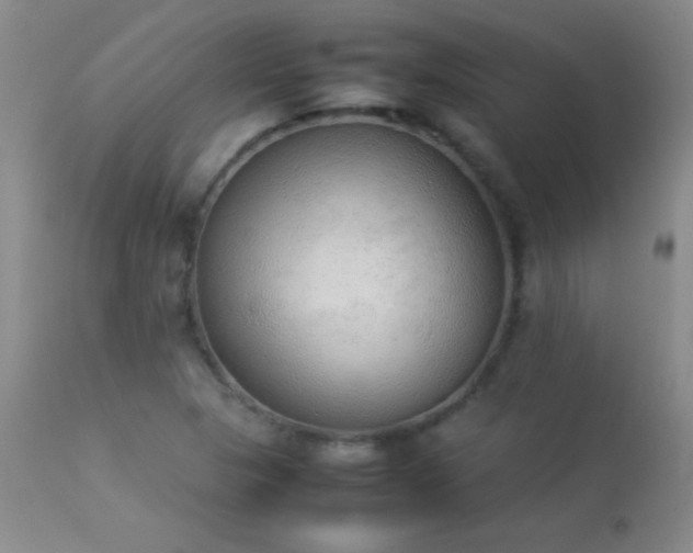 X0000114221313200910091338