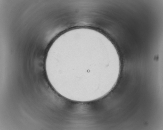 X0000114221314200910091338