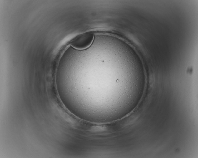 X0000114221315200910091338