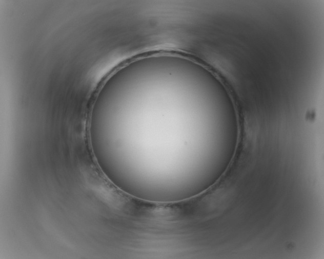 X0000114221316200910091338