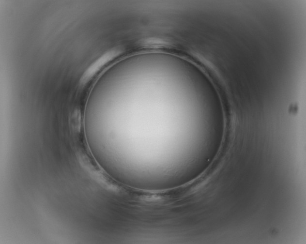 X0000114221317200910091338