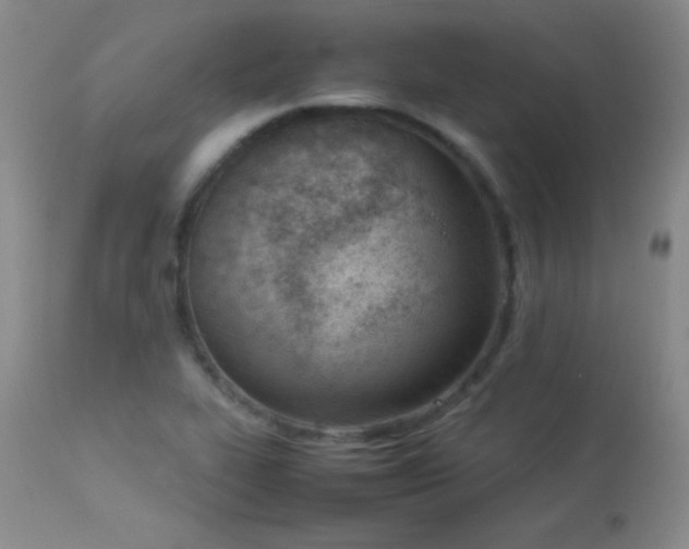 X0000114221319200910091338