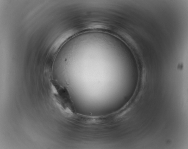 X0000114221321200910091338