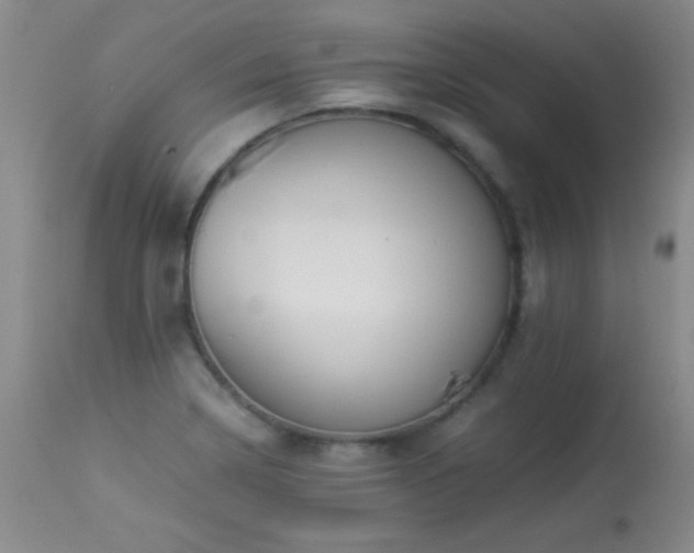 X0000114221322200910091338