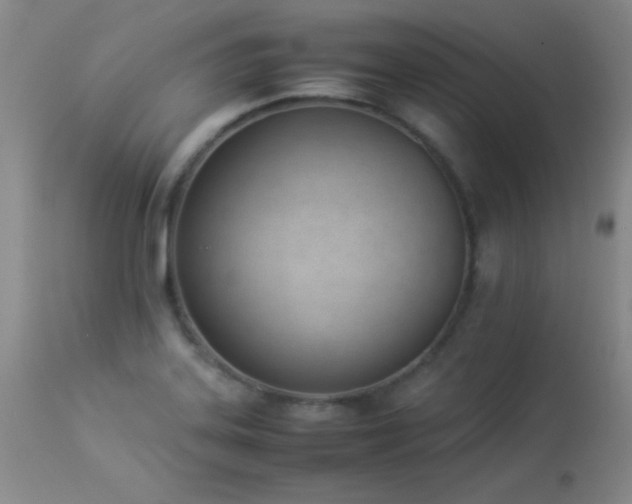X0000114221323200910091338