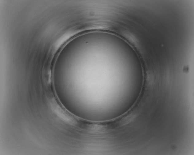 X0000114221324200910091338