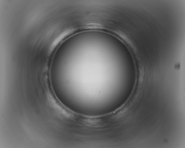 X0000114221325200910091338