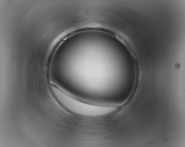 X0000114221326200910091338