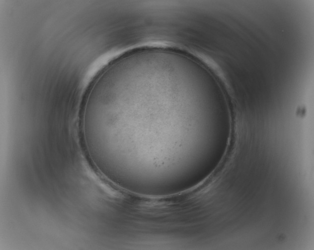 X0000114221327200910091338