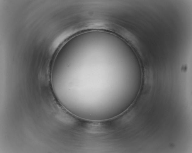 X0000114221328200910091338