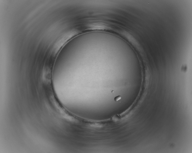 X0000114221329200910091338