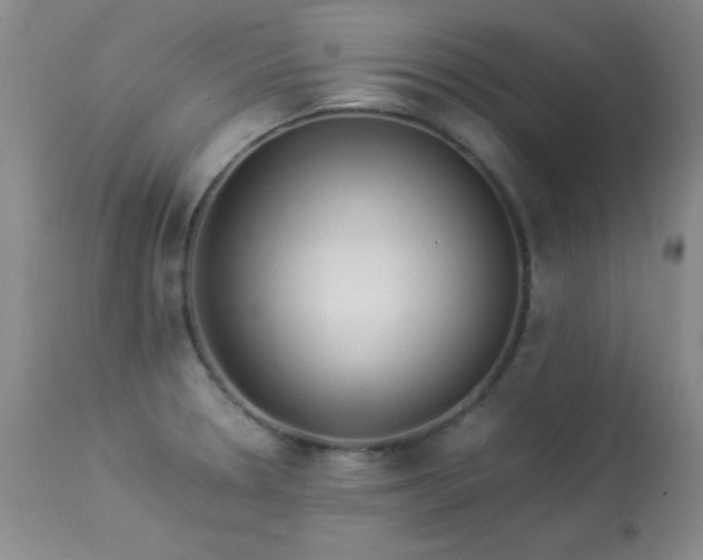 X0000114221330200910091338