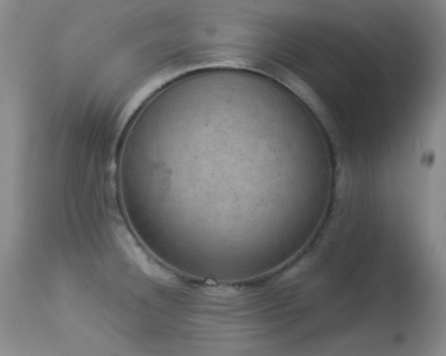 X0000114221332200910091338