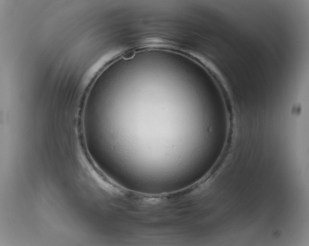 X0000114221333200910091338