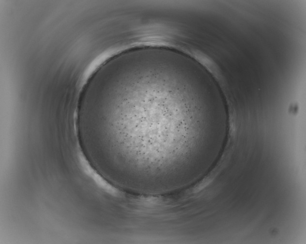 X0000114221334200910091338