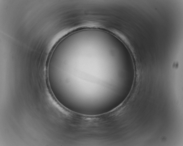 X0000114221335200910091338