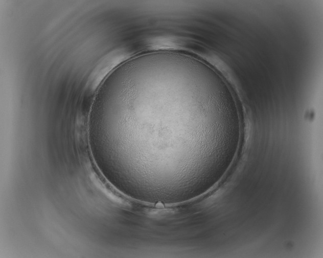 X0000114221337200910091338