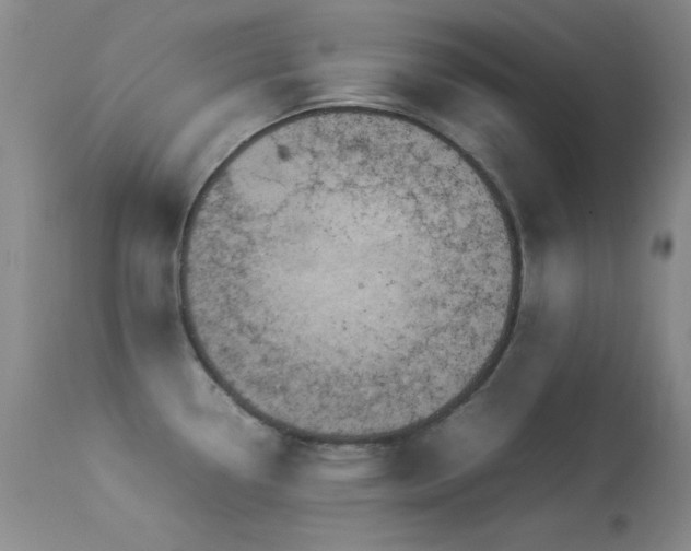 X0000114221338200910091338