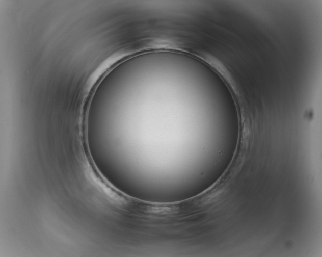 X0000114221339200910091339