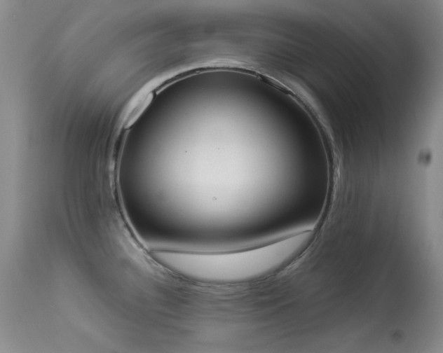 X0000114221340200910091339