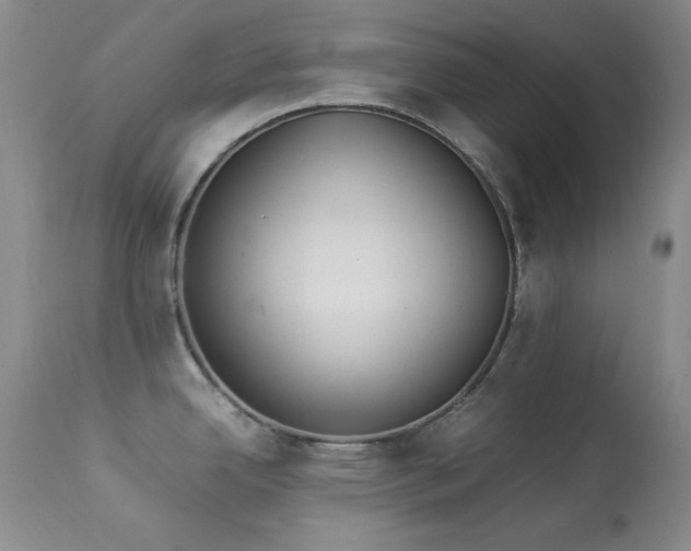 X0000114221342200910091339