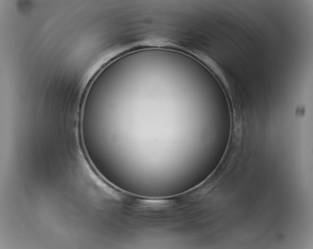 X0000114221343200910091339
