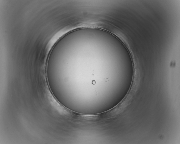 X0000114221344200910091339