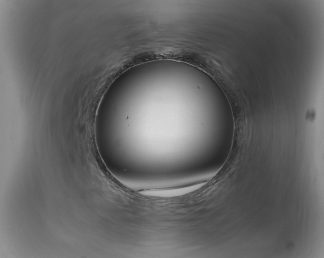 X0000114221345200910091338