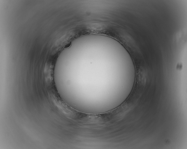 X0000114221346200910091338