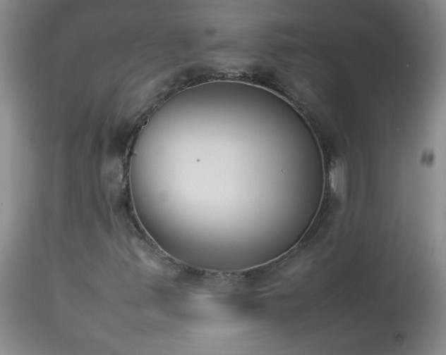 X0000114221347200910091338