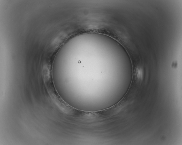 X0000114221348200910091338