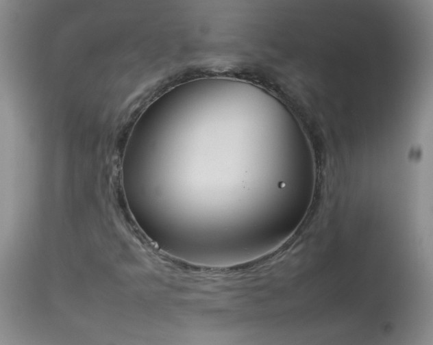 X0000114221349200910091338