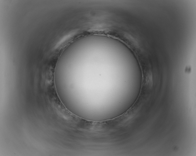 X0000114221350200910091338