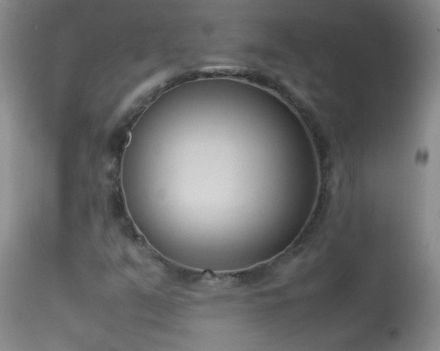 X0000114221351200910091338