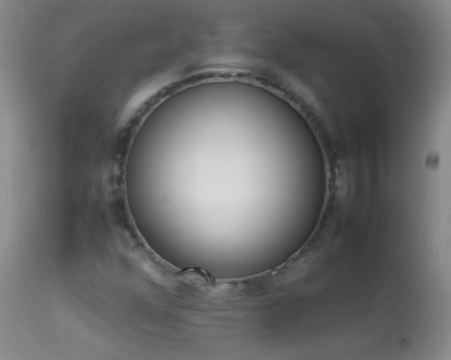 X0000114221352200910091338