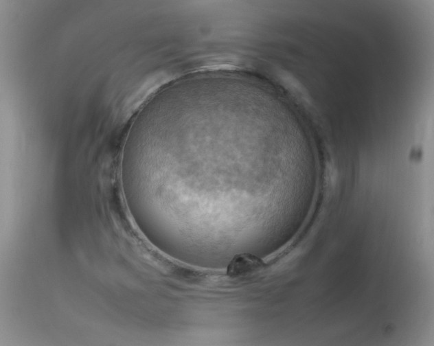 X0000114221353200910091338