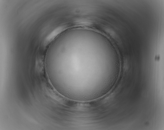 X0000114221354200910091338