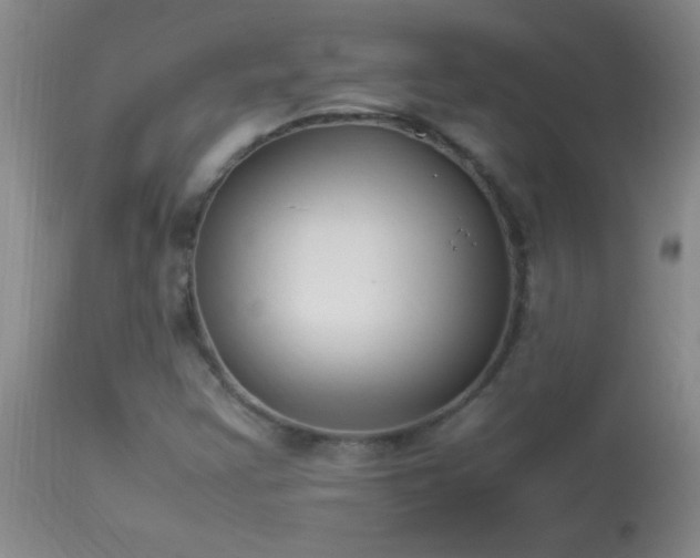 X0000114221355200910091338
