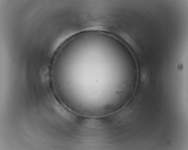 X0000114221356200910091338