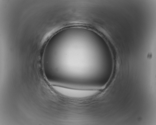 X0000114221357200910091338