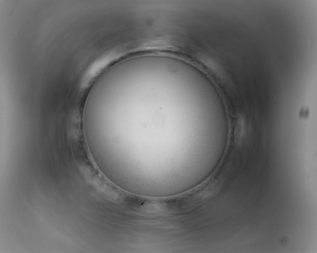 X0000114221358200910091338