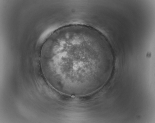 X0000114221359200910091338