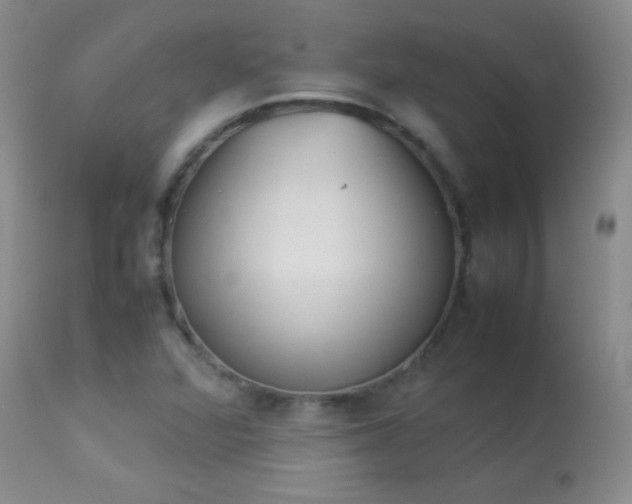 X0000114221360200910091338