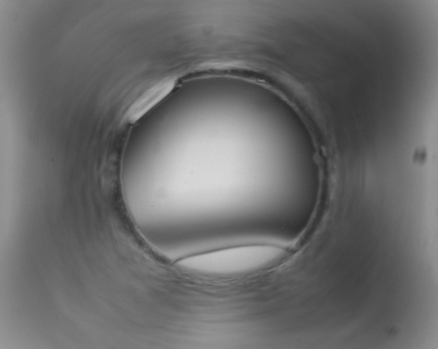 X0000114221361200910091338